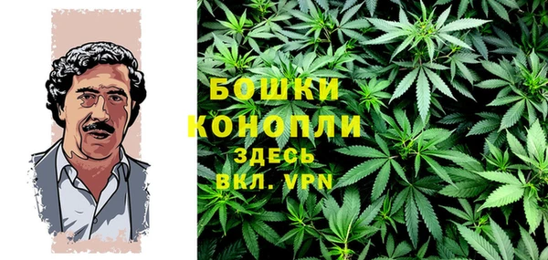 сатива Бугульма