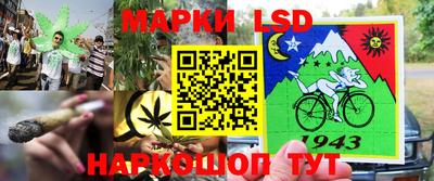 спайс Гагарин