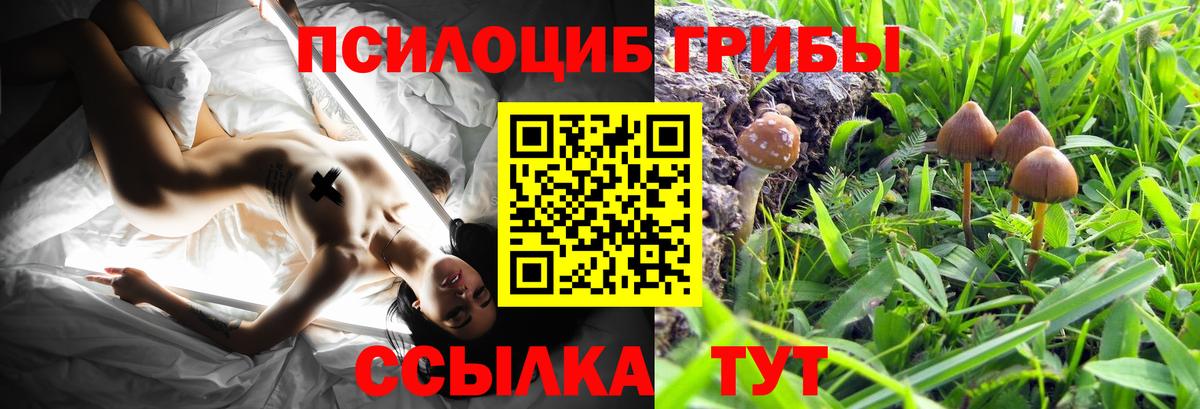 Галлюциногенные грибы мухоморы Бузулук